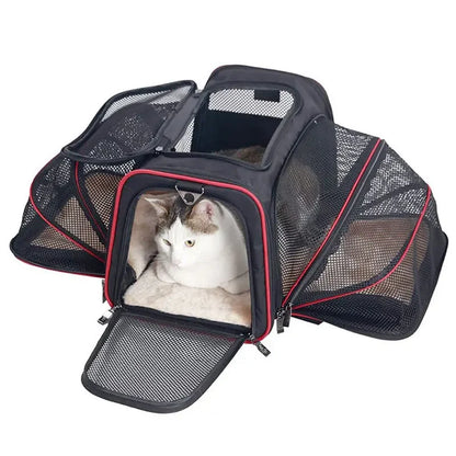 Expandable Pet Carrier "Bumblebee"