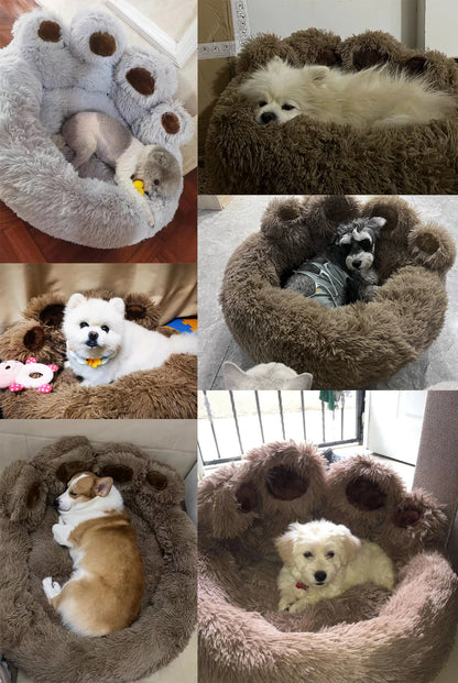 Cozy "Bear Paw" Fluffy Dog Bed