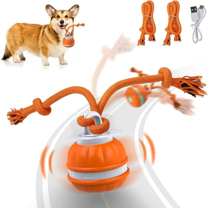 Secret Pet Interactive Rolling Ball