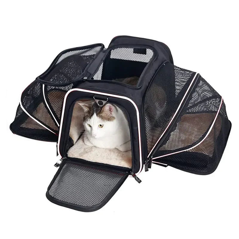 Expandable Pet Carrier "Bumblebee"