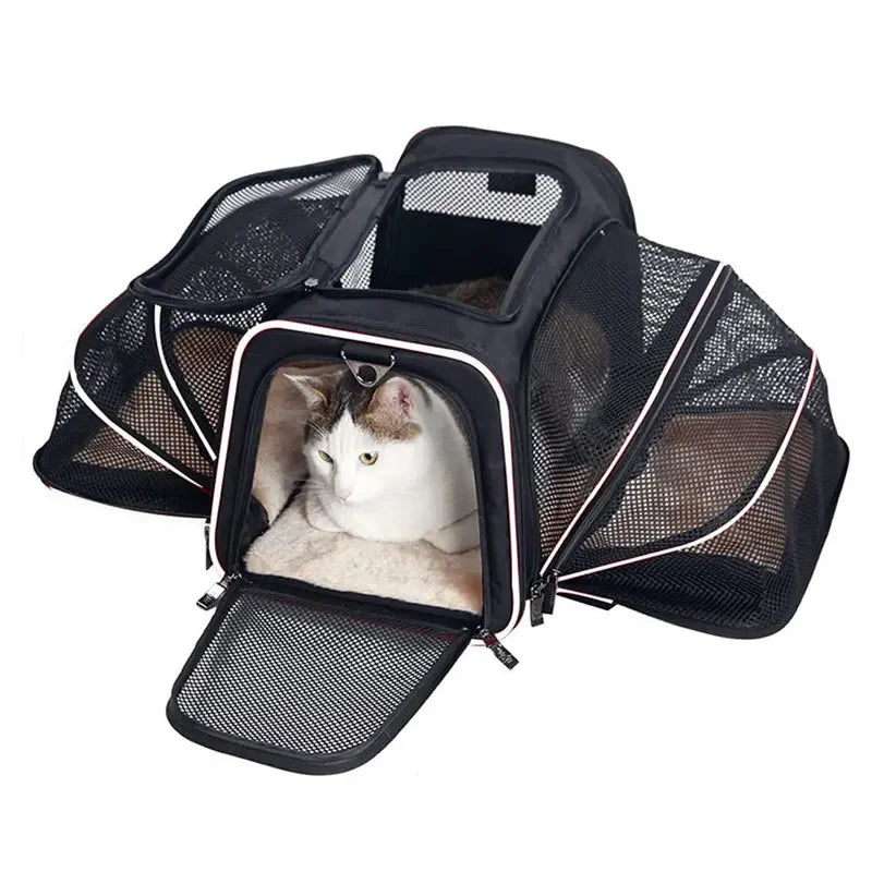 Expandable Pet Carrier "Bumblebee"