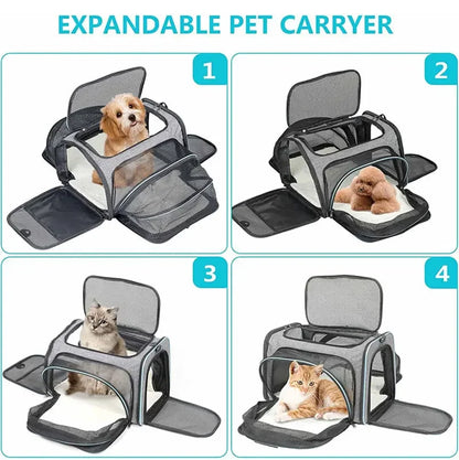 Expandable Pet Carrier "Bumblebee"