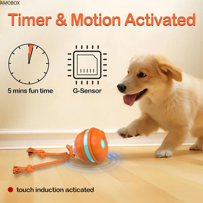 Secret Pet Interactive Rolling Ball