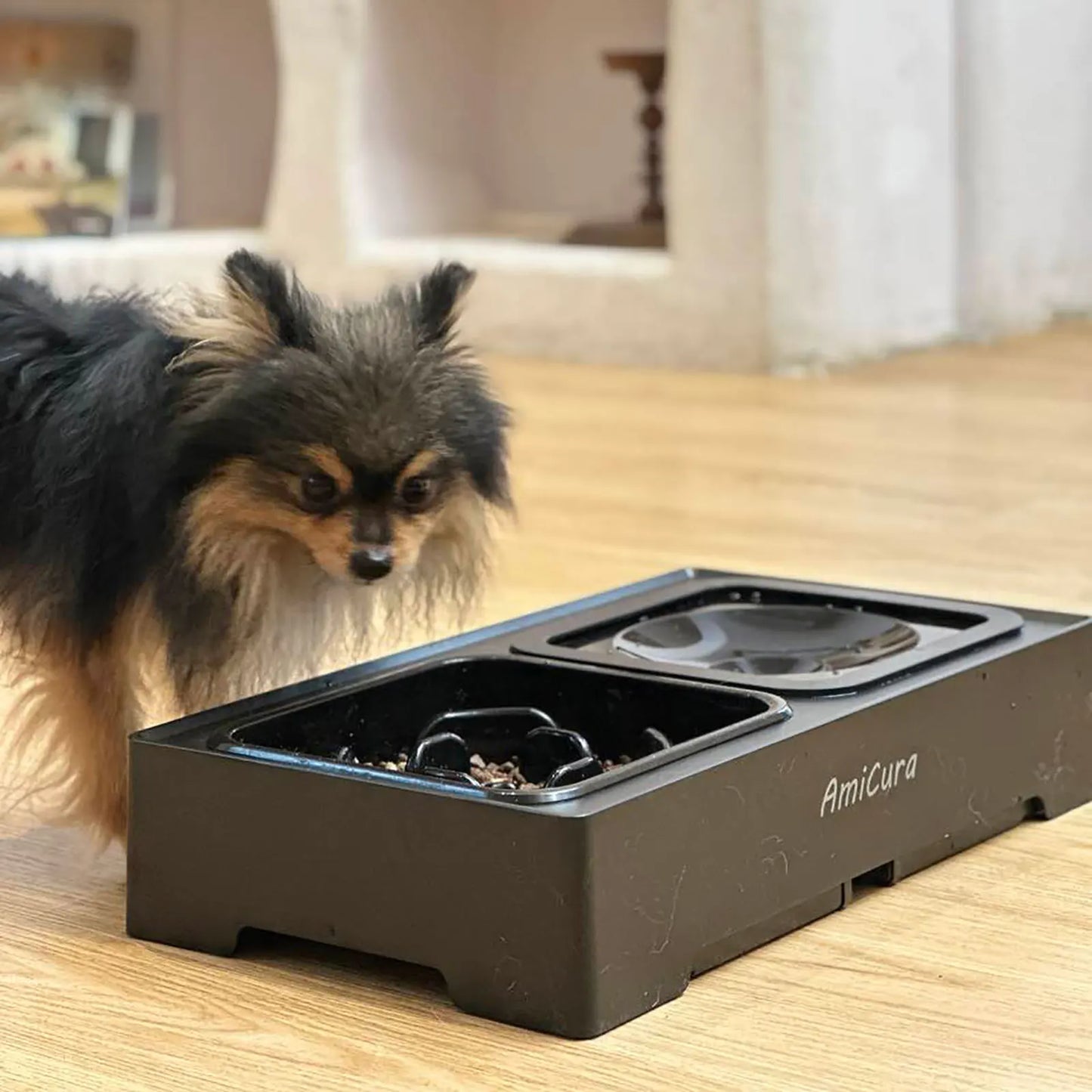 Revolutionary 2-in-1 Elevated Slow Feed Pet Station