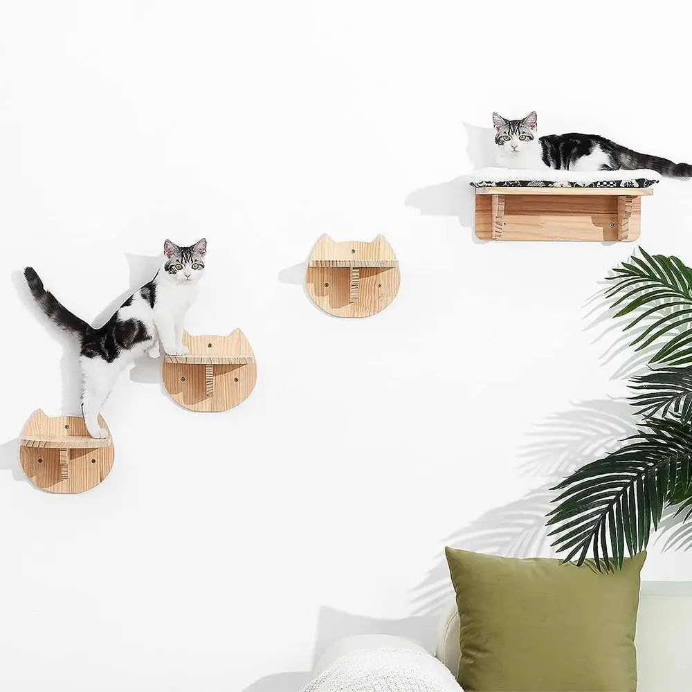 Wall Mounted "Jane" Cat Activity & Exercise Set