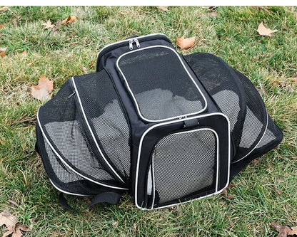 Expandable Pet Carrier "Bumblebee"