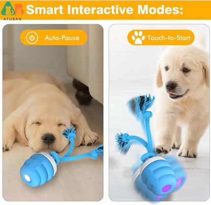 2025 Secret Pet Ultimate Smart Dog Ball