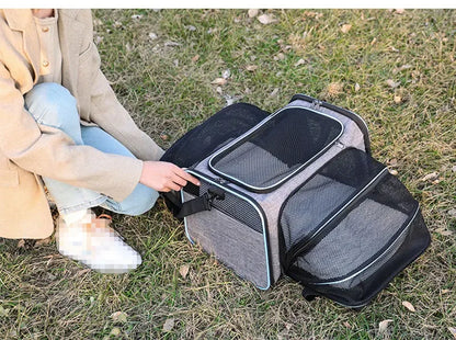 Expandable Pet Carrier "Bumblebee"