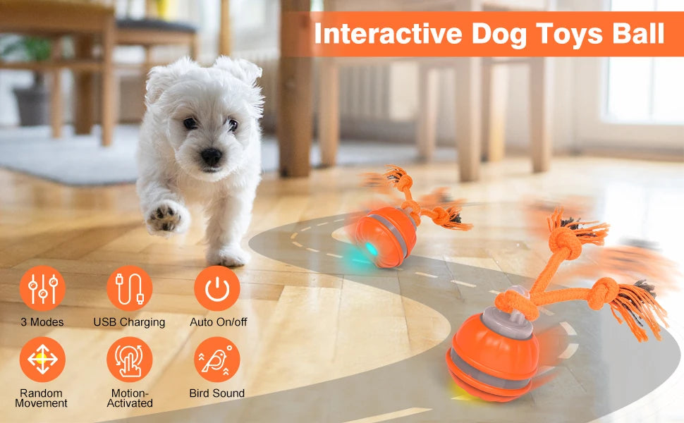 Secret Pet Interactive Rolling Ball