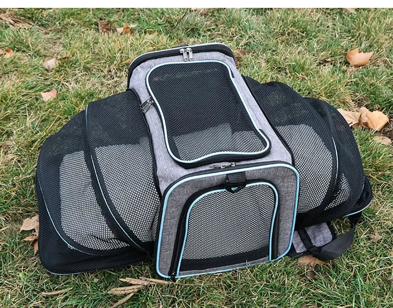 Expandable Pet Carrier "Bumblebee"