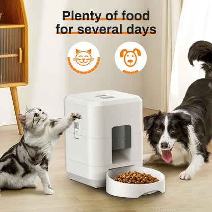 Inovative WIFI Smart Pet Feeding Station