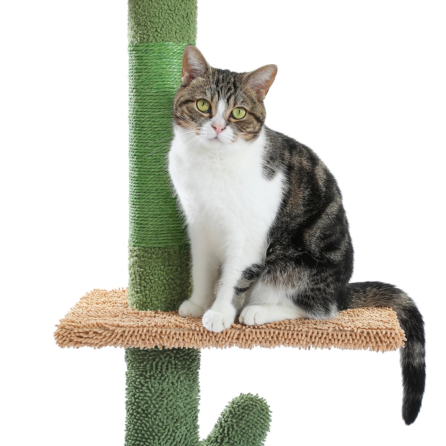 239-275cm "Cactus" Adjustable Floor-to-Ceiling Cat Tree