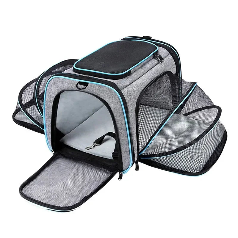 Expandable Pet Carrier "Bumblebee"