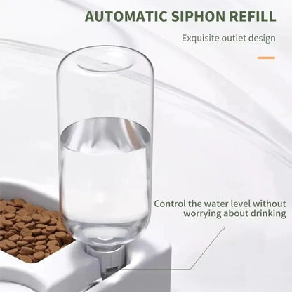 Automatic Pet Water Dispenser