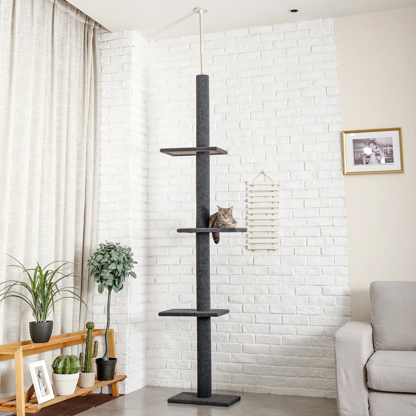 Albero per gatti regolabile dal pavimento al soffitto "Cactus" da 239-275 cm