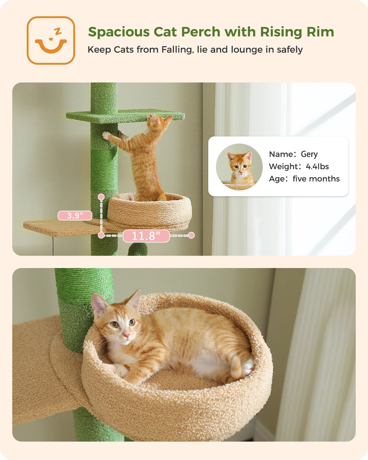 239-275cm "Cactus" Adjustable Floor-to-Ceiling Cat Tree