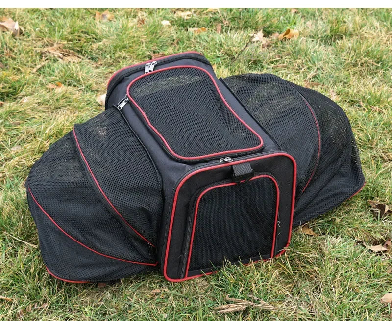 Expandable Pet Carrier "Bumblebee"