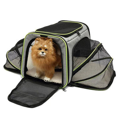 Expandable Pet Carrier "Bumblebee"