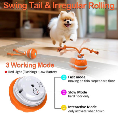 Secret Pet Interactive Rolling Ball