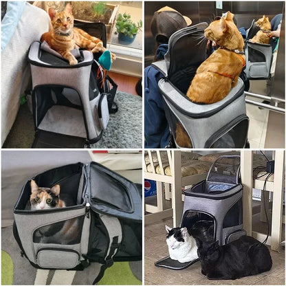 Zaino elegante per il trasporto degli animali domestici