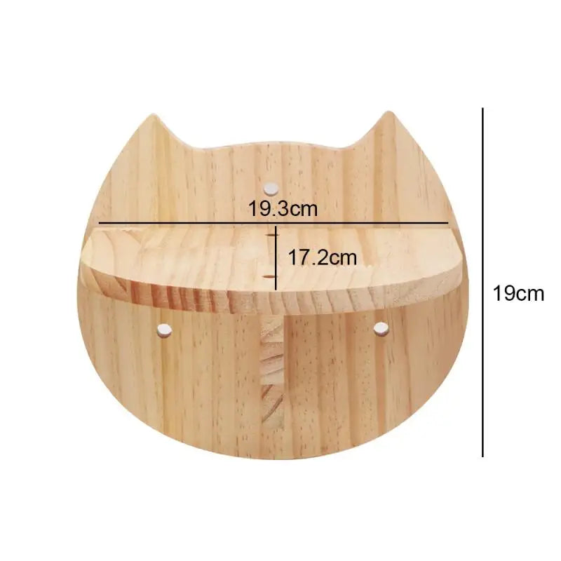 Wall Mounted "Jane" Cat Activity & Exercise Set