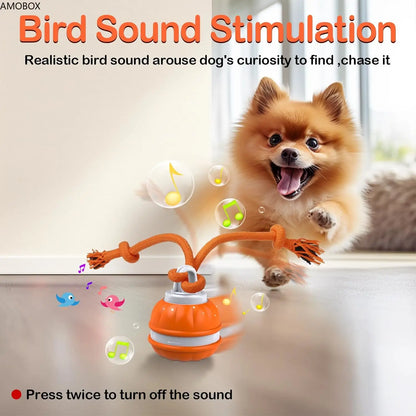 Secret Pet Interactive Rolling Ball