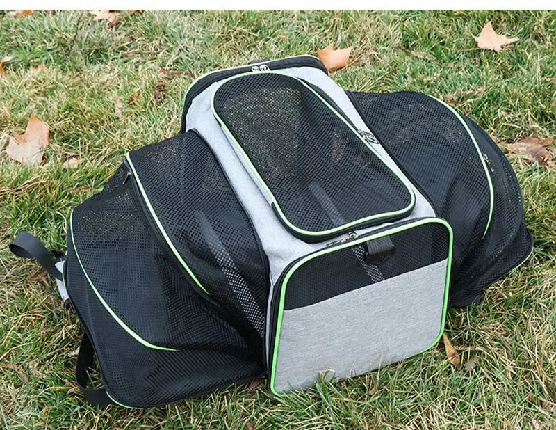 Expandable Pet Carrier "Bumblebee"